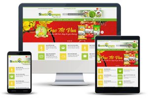 Dịch vụ thiết kế website siêu thị